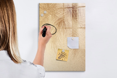 Magnetisch memobord van glas voor aan de muur De schaduw van palmbladeren