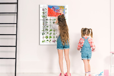Wandbord van glas magnetisch en uitwisbaar Groene groenten