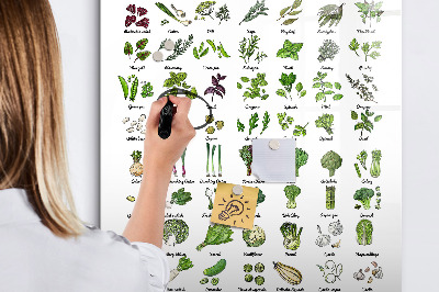 Wandbord van glas magnetisch en uitwisbaar Groene groenten
