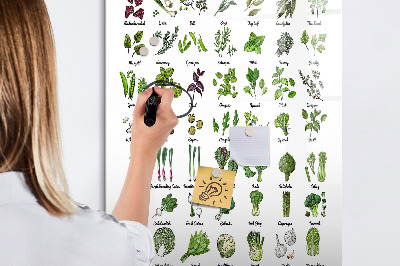 Wandbord van glas magnetisch en uitwisbaar Groene groenten
