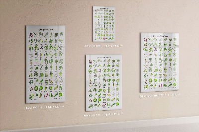 Wandbord van glas magnetisch en uitwisbaar Groene groenten