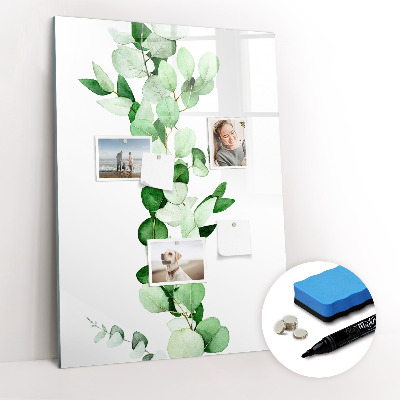 Wandbord van glas magnetisch en uitwisbaar Biezenbladeren