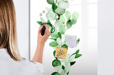 Wandbord van glas magnetisch en uitwisbaar Biezenbladeren
