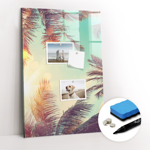 Wandbord van glas magnetisch en uitwisbaar Tropische palmboom