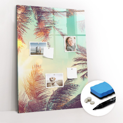 Wandbord van glas magnetisch en uitwisbaar Tropische palmboom