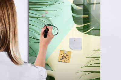Wandbord van glas magnetisch en uitwisbaar Tropische Monstera