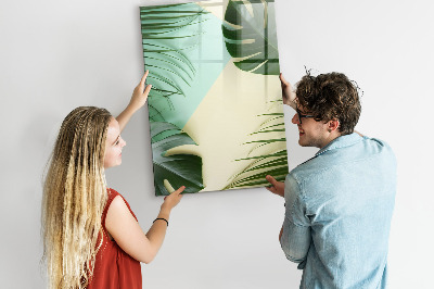 Wandbord van glas magnetisch en uitwisbaar Tropische Monstera