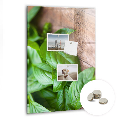 Magnetisch bord Basilicumblaadjes