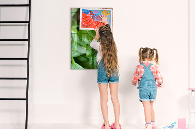 Magnetisch bord Basilicumblaadjes