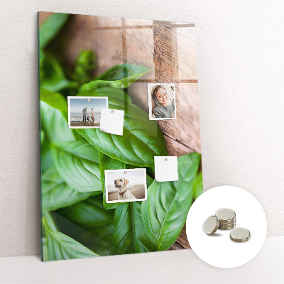 Magnetisch bord Basilicumblaadjes