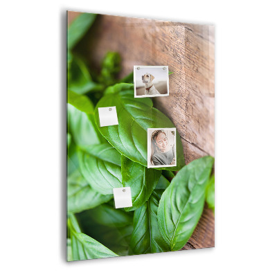 Magnetisch bord Basilicumblaadjes