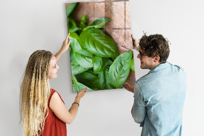 Magnetisch bord Basilicumblaadjes