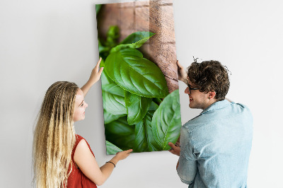 Magnetisch bord Basilicumblaadjes