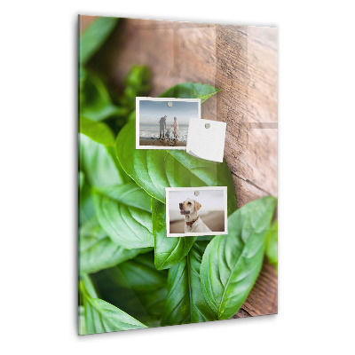 Magnetisch bord Basilicumblaadjes