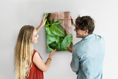 Magnetisch bord Basilicumblaadjes