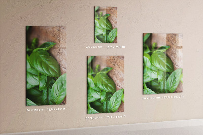 Magnetisch bord Basilicumblaadjes