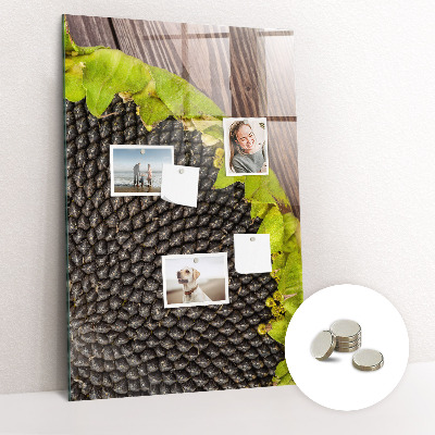 Magnetisch bord Zonnebloempitten