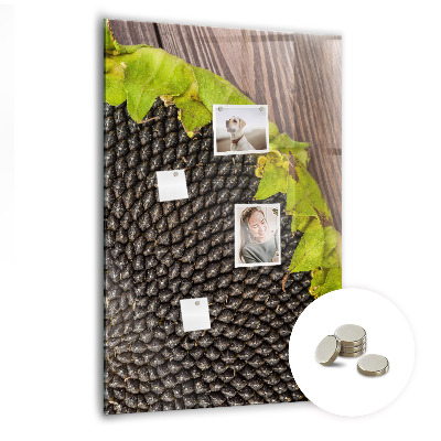 Magnetisch bord Zonnebloempitten