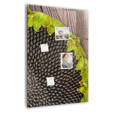 Magnetisch bord Zonnebloempitten