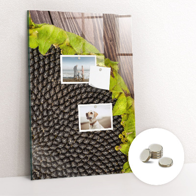 Magnetisch bord Zonnebloempitten