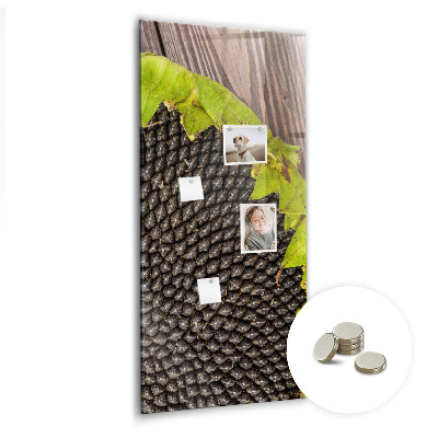 Magnetisch bord Zonnebloempitten