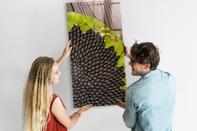 Magnetisch bord Zonnebloempitten