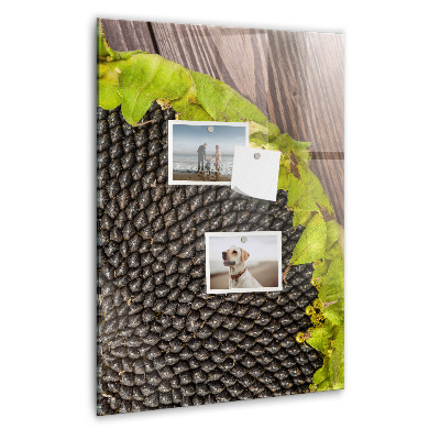 Magnetisch bord Zonnebloempitten