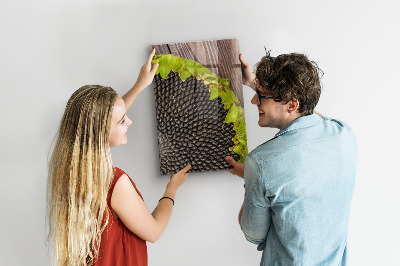 Magnetisch bord Zonnebloempitten