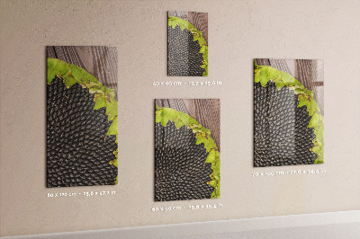 Magnetisch bord Zonnebloempitten