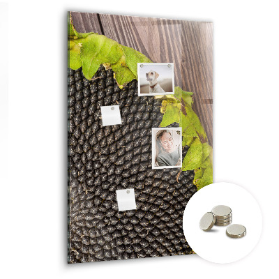 Magnetisch bord Zonnebloempitten