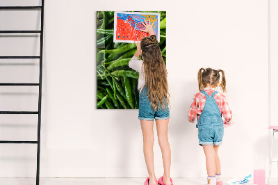 Magneetbord Groene paprika's