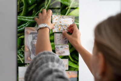 Magneetbord Groene paprika's