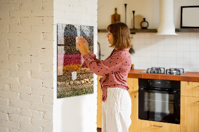 Memo bord Rijen met kruiden