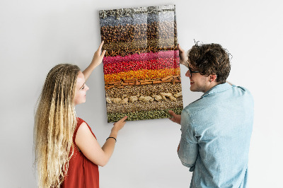 Memo bord Rijen met kruiden