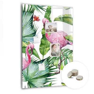 Magnetisch bord Flamingo vogel natuur