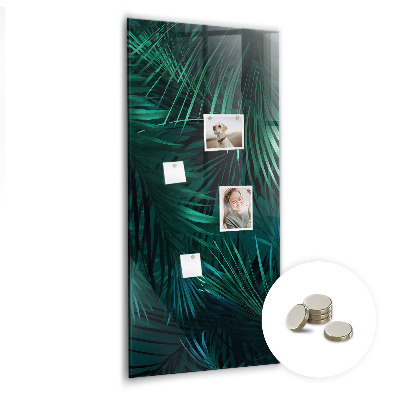 Magnetisch bord Tropische bladeren