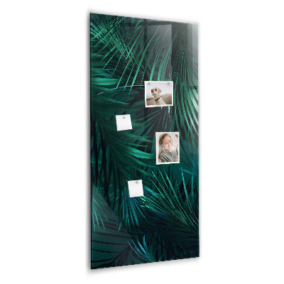 Magnetisch bord Tropische bladeren