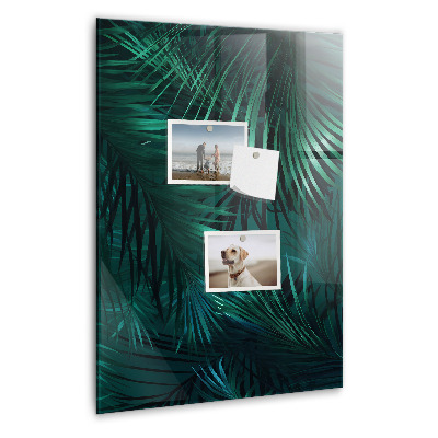 Magnetisch bord Tropische bladeren
