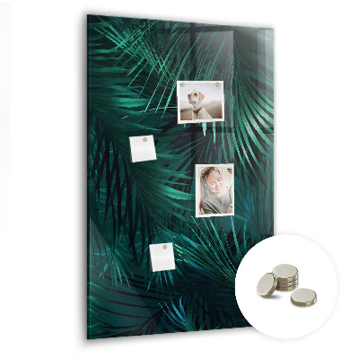 Magnetisch bord Tropische bladeren