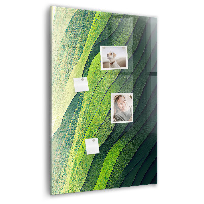 Memo bord Lijnen landschap natuur