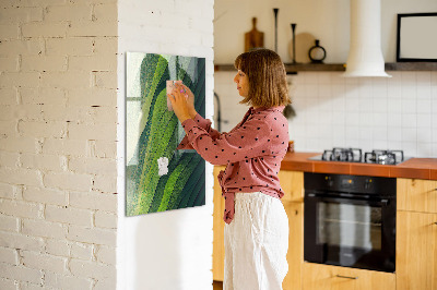 Memo bord Lijnen landschap natuur