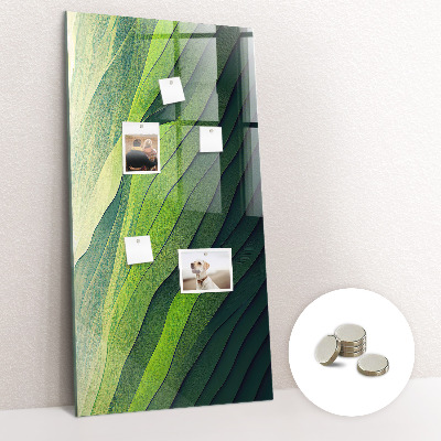 Memo bord Lijnen landschap natuur