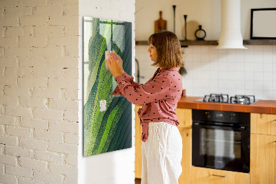 Memo bord Lijnen landschap natuur