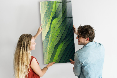 Memo bord Lijnen landschap natuur