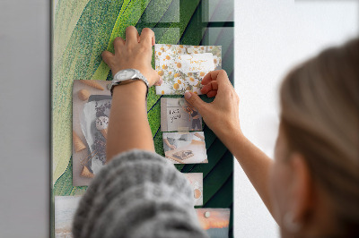 Memo bord Lijnen landschap natuur