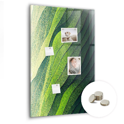 Memo bord Lijnen landschap natuur