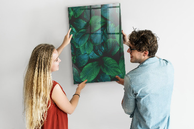 Magneetbord Grote tropische bladeren