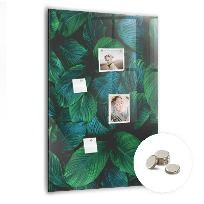 Magneetbord Grote tropische bladeren