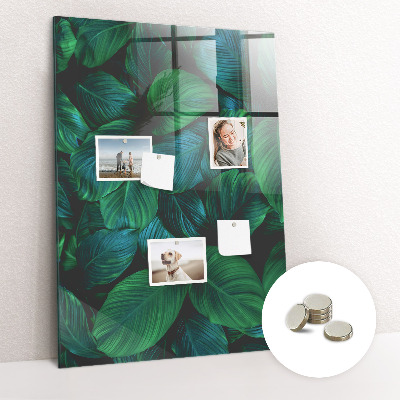 Magneetbord Grote tropische bladeren