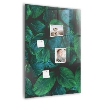 Magneetbord Grote tropische bladeren